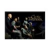 CELTIC THUNDER JUMBO MAGNET FORMAL